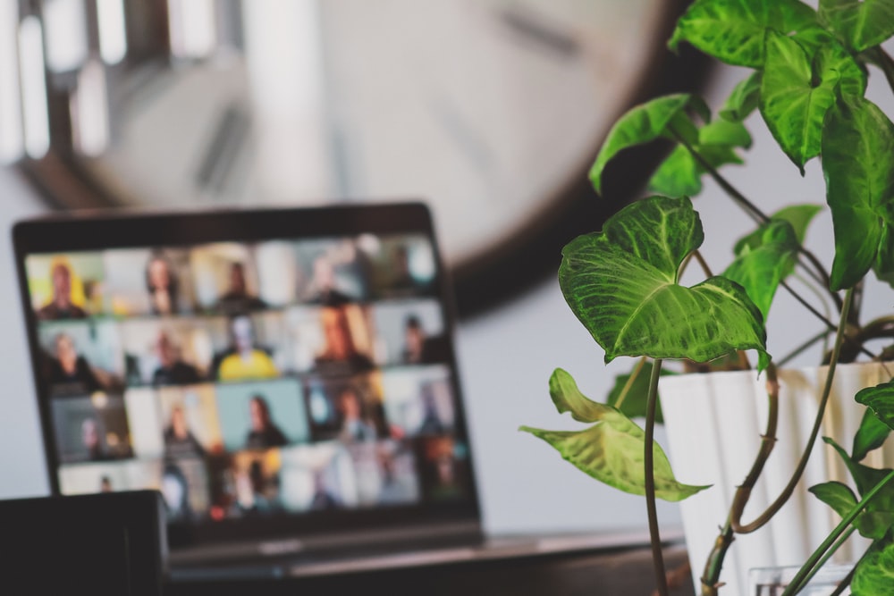 A laptop on a table in a home setting, with a video conference with 20 users on the screen. In the foreground is a houseplant.